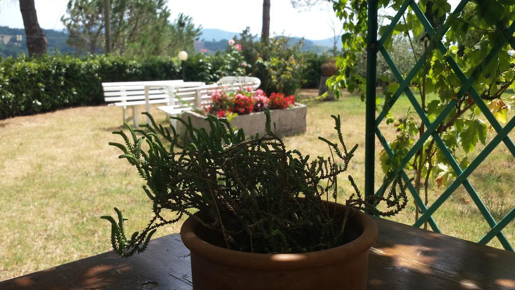 Agriturismo Il Catrino Ponteginori Eksteriør billede