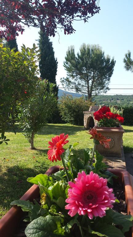 Agriturismo Il Catrino Ponteginori Eksteriør billede