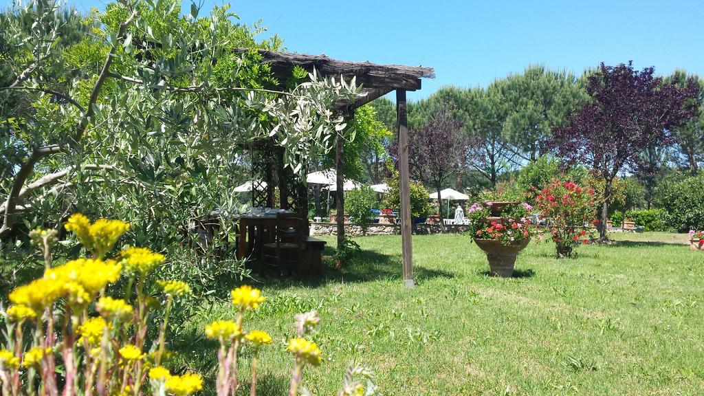Agriturismo Il Catrino Ponteginori Eksteriør billede