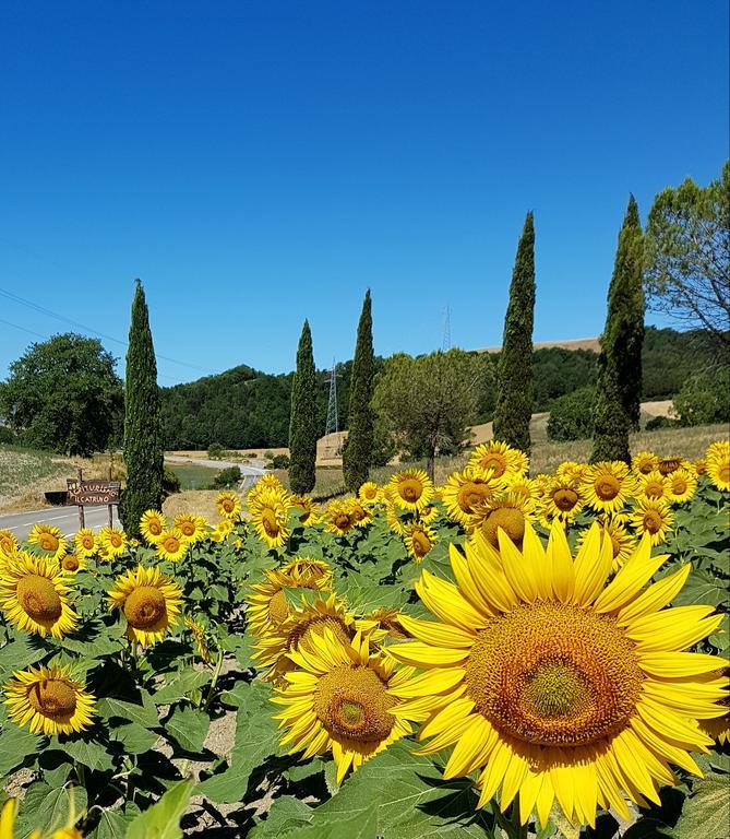 Agriturismo Il Catrino Ponteginori Eksteriør billede