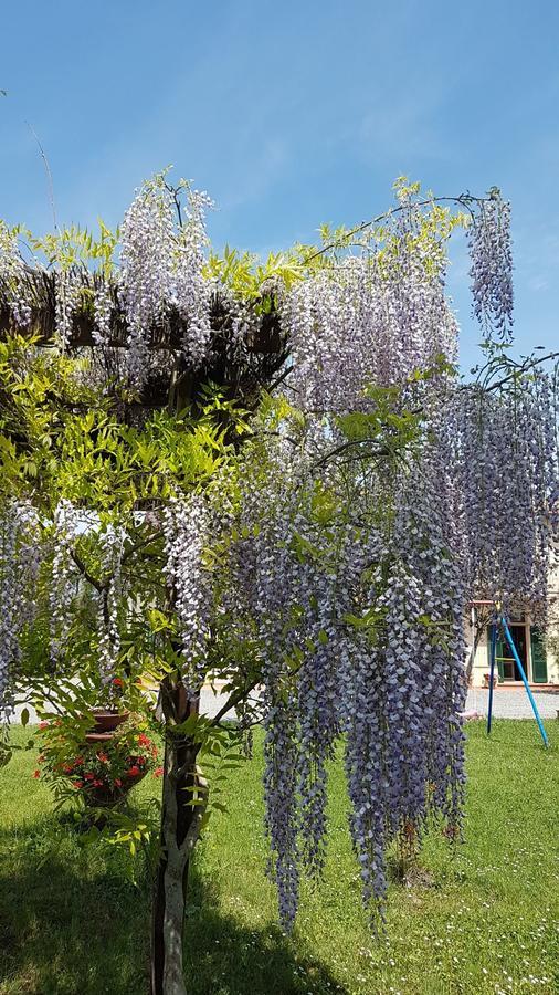 Agriturismo Il Catrino Ponteginori Eksteriør billede